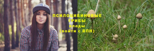 спиды Мегион