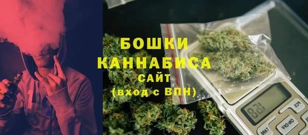 молекула духа Майский