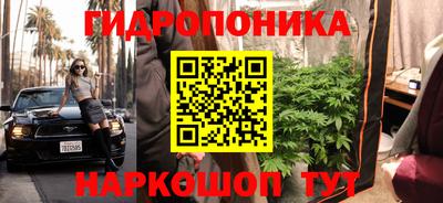 MESCALINE Кингисепп