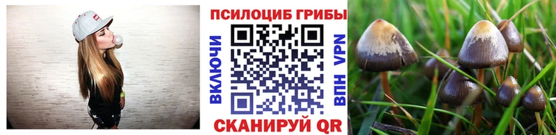 Галлюциногенные грибы GOLDEN TEACHER Химки