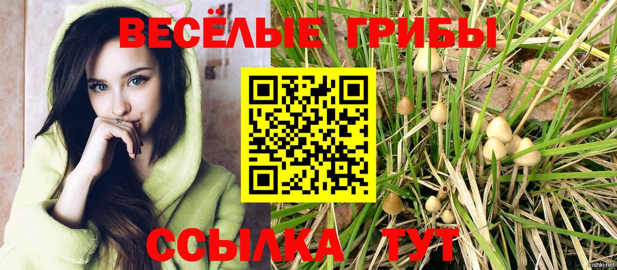 Псилоцибиновые грибы Psilocybine cubensis Химки