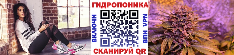 hydra как зайти  даркнет сайт  Химки  Бошки Шишки AK-47 